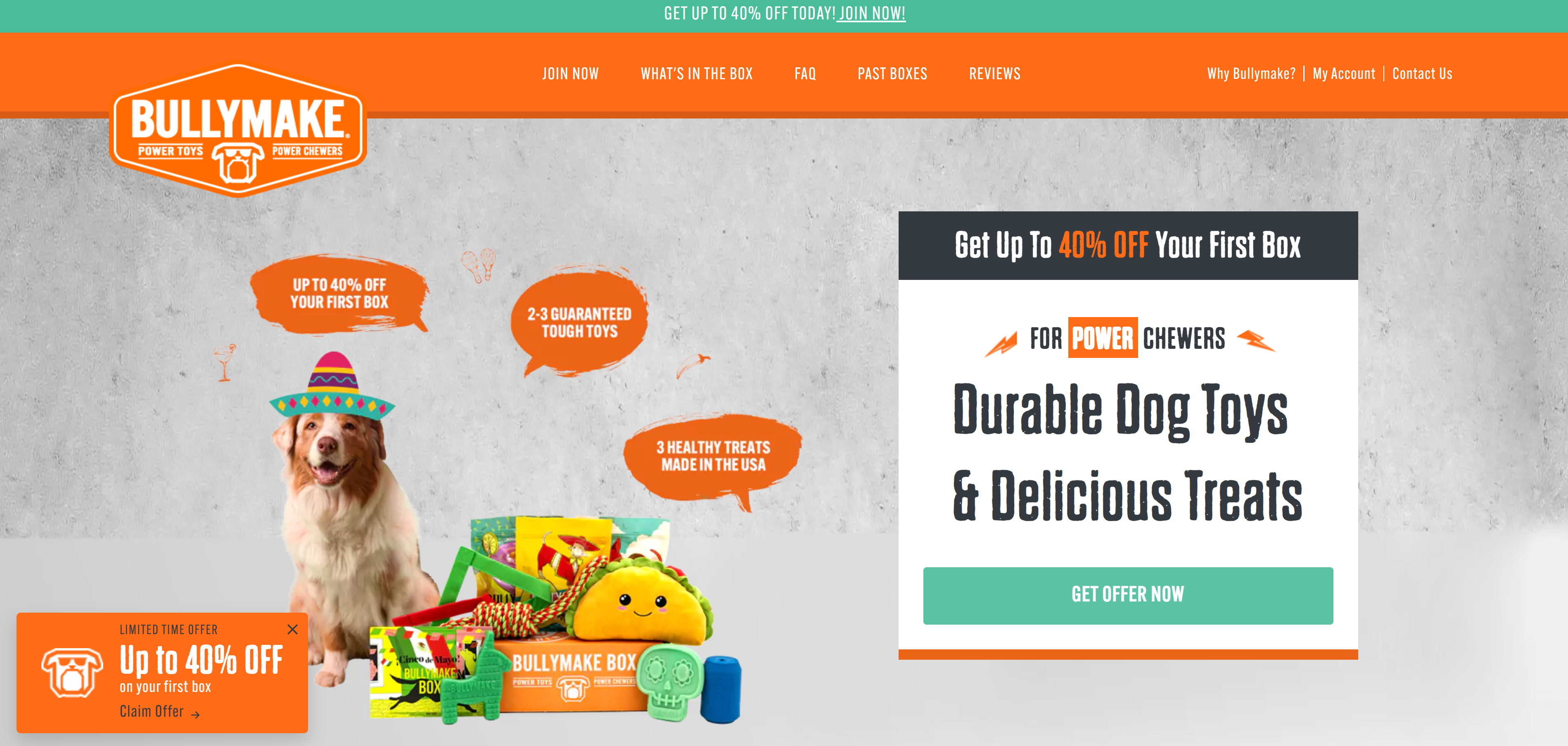 Bullymake Review: An In-Depth Look at 2025's Top Dog Subscription Box