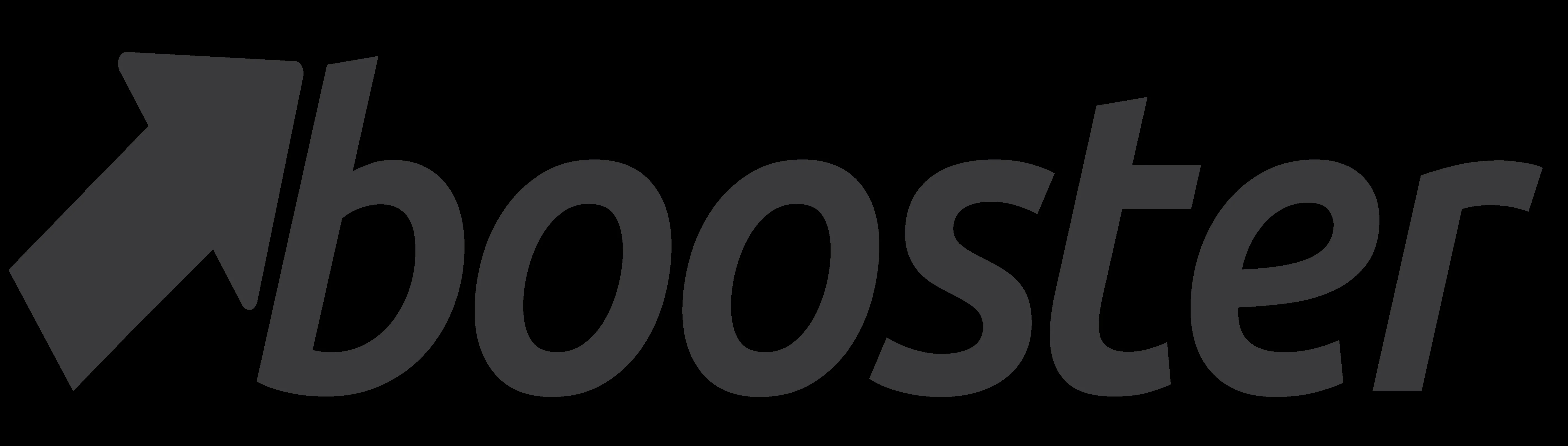 Booster Theme logo