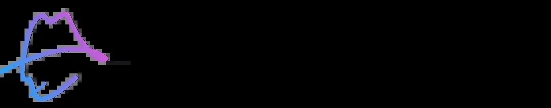 Dropship Spy logo