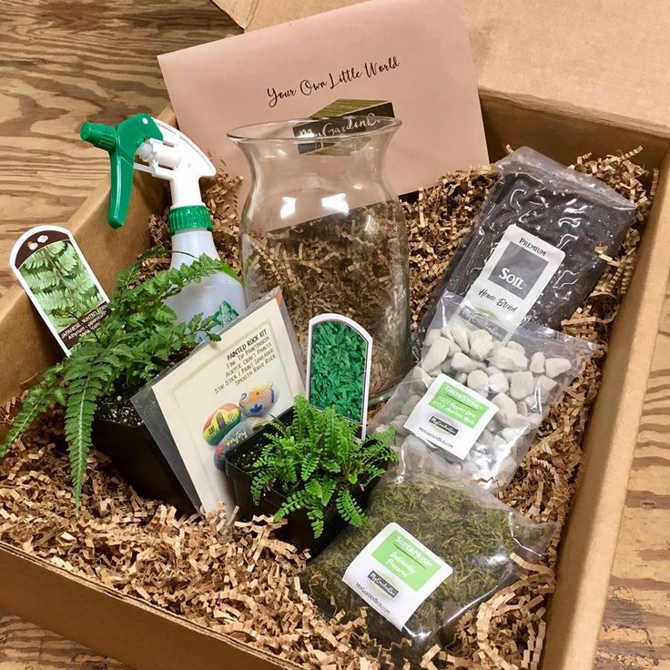 Best Subscription Boxes for Plant Lovers