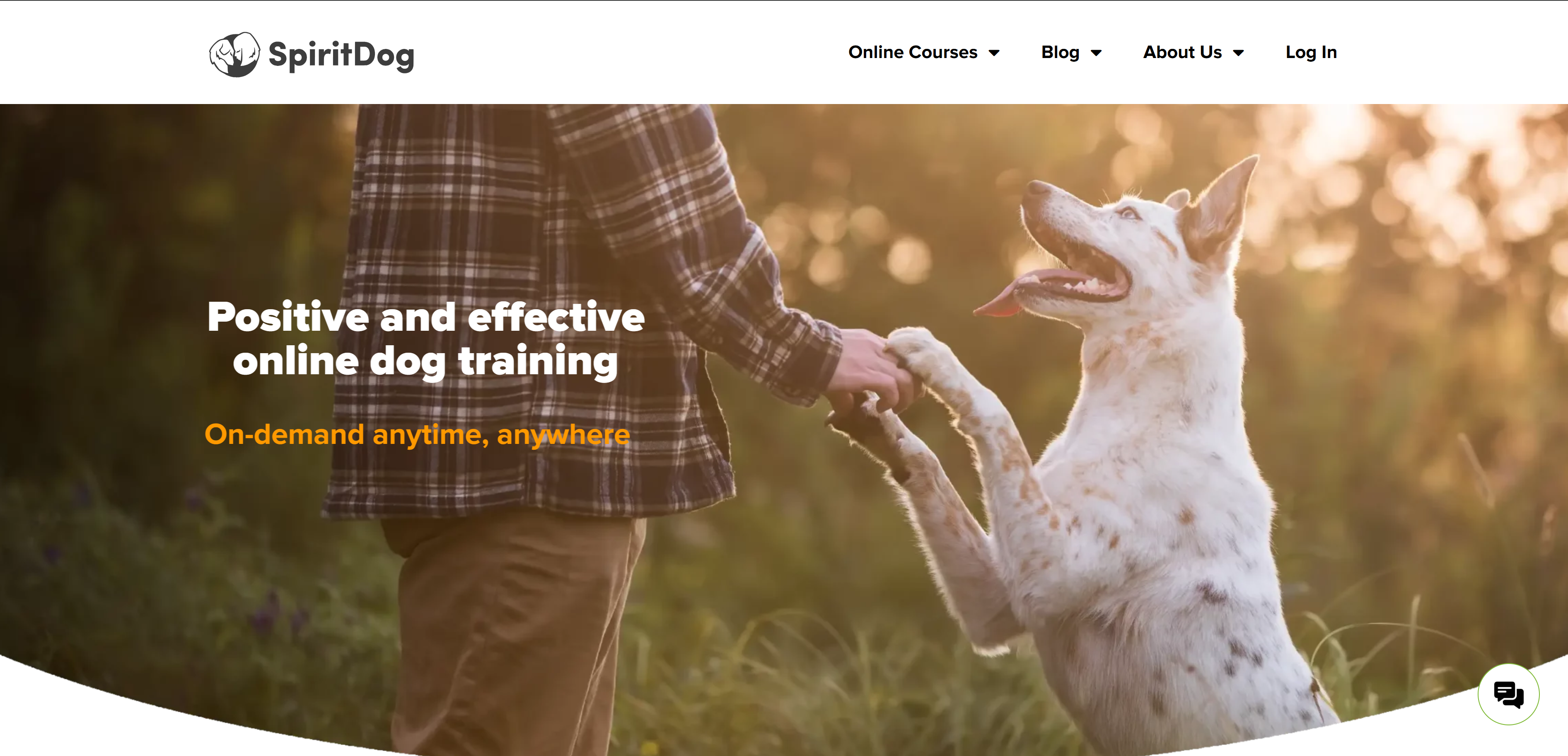 SpiritDog Training Review: An In-Depth Look at Their 2025 Programs