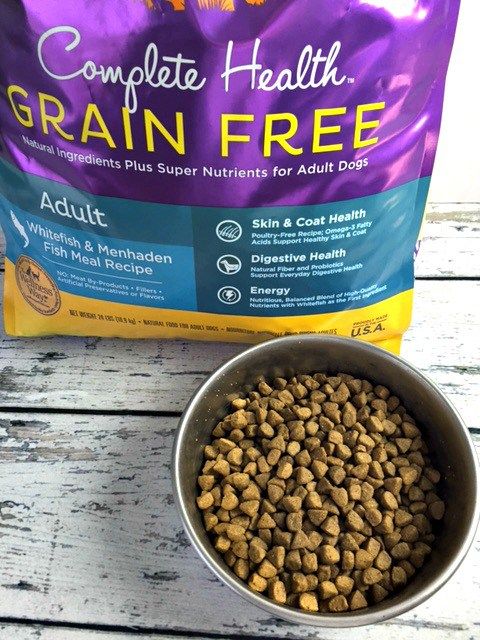 The Best Stores for Organic and Grain-Free Pet Food