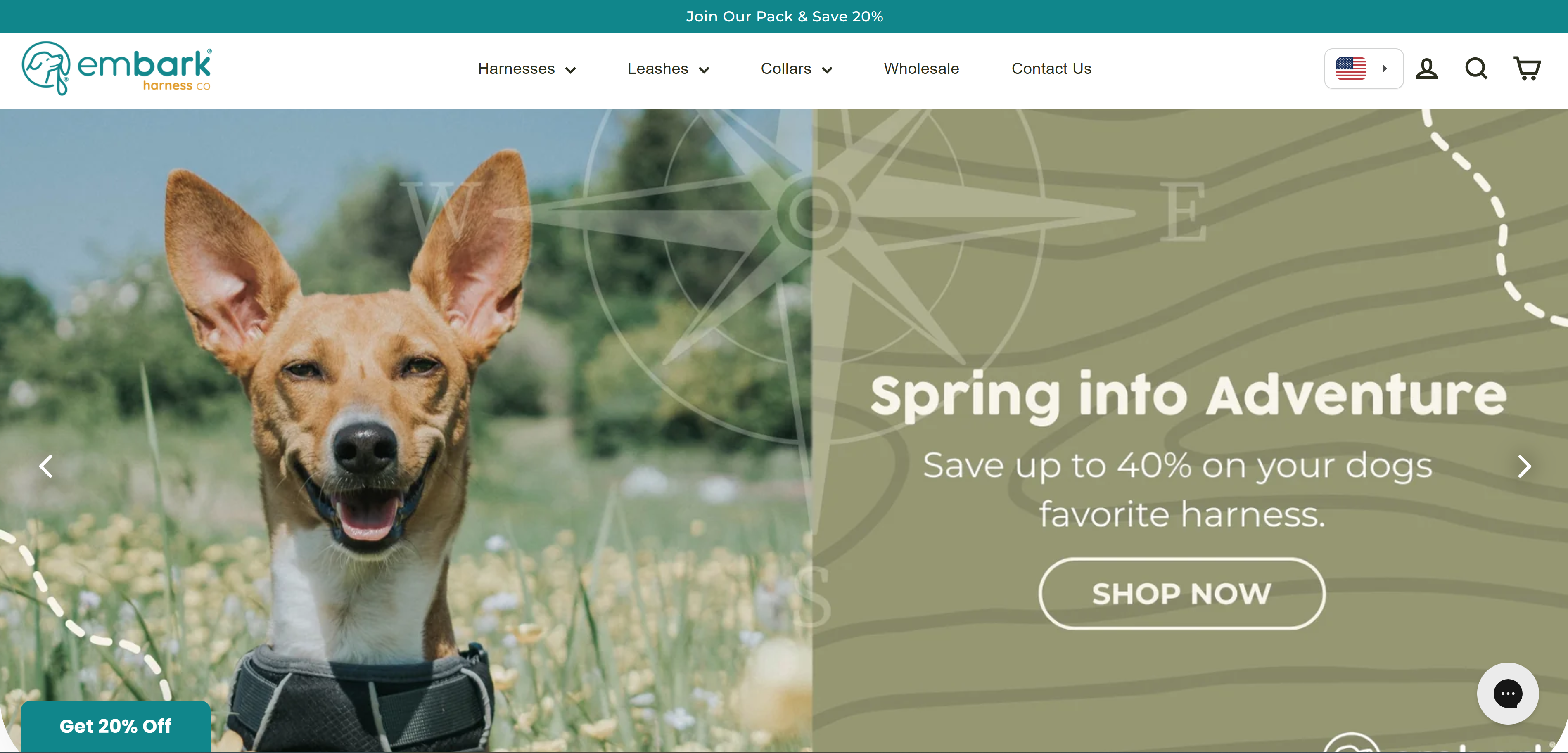 Embark Pets Review: A Comprehensive Look at DNA Testing for Dogs