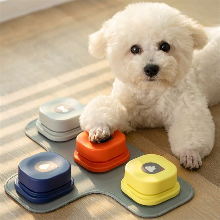 Where to Find Free Shipping on Pet Supplies