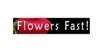 Flowers Fast Logo